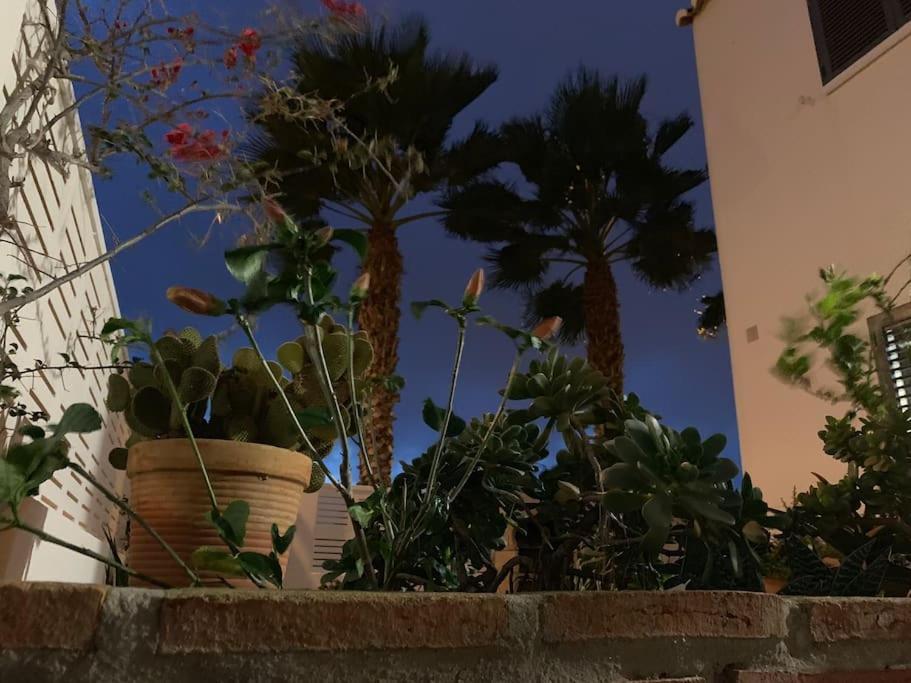 Villa Cinco Palmas Almerimar Luaran gambar